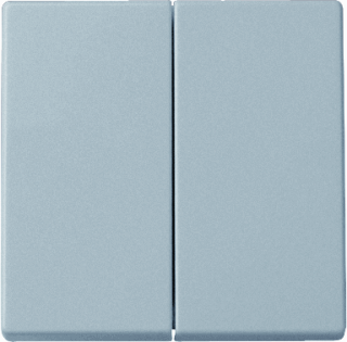 Busch-Jaeger 2CKA001751A2962 Serietoets Afdekking RVS 1 stuk(s)