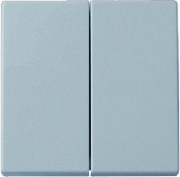 Busch-Jaeger 2CKA001751A2962 Serietoets Afdekking RVS 1 stuk(s) - thumbnail