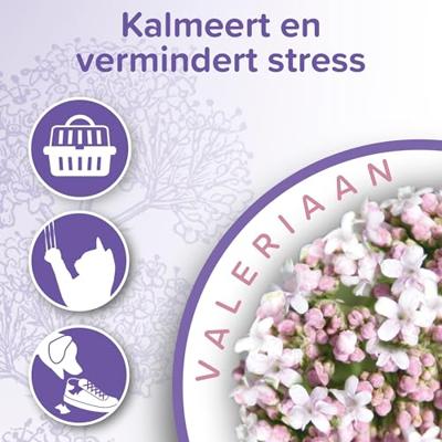 Beaphar No Stress Spray voor de kat 125 ml