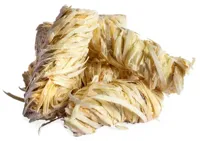 Napoleon Aanmaakwokkels 40st - thumbnail