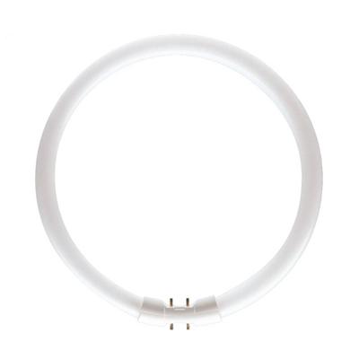Osram Lumilux T5 Circulair FC 40W - 840 | 30cm Osram Lumilux T5 Circulair FC 40W - 840 | 30cm