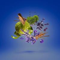 Xerjoff Casamorati Mefisto Eau de parfum Spray 100ml Heren - thumbnail