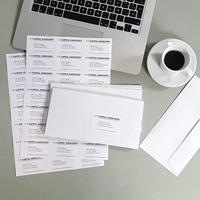 Apli etiketten ft 210 x 297 mm (b x h), rechte hoeken, 25 stuks, 1 per blad (1215) - thumbnail