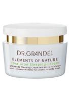Dr Grandel - Dr.Grandel Elements Of Nature Hyaluron Sleeping Cream 50 ml - thumbnail
