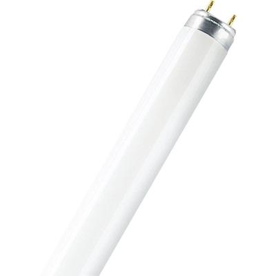 OSRAM HOMELIGHTING TL-lamp Energielabel: G (A - G) G13 36 W Warmwit Buis (Ø x l) 26 mm x 1213.6 mm 1 stuk(s)