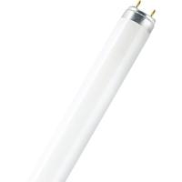 OSRAM HOMELIGHTING TL-lamp Energielabel: G (A - G) G13 36 W Warmwit Buis (Ø x l) 26 mm x 1213.6 mm 1 stuk(s) - thumbnail