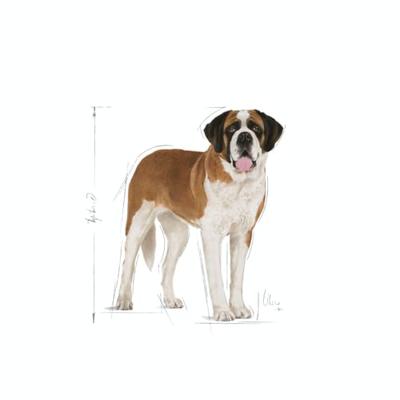 Royal Canin giant junior hondenvoer 3,5kg - thumbnail