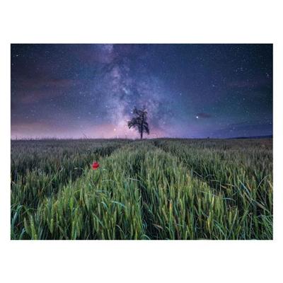 Ravensburger legpuzzel nachthim.uber dem kornfeld, 1500st.