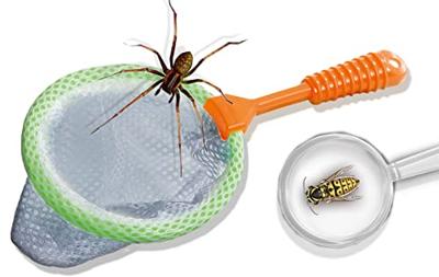 SES Creative Ses explore - insecten explorer