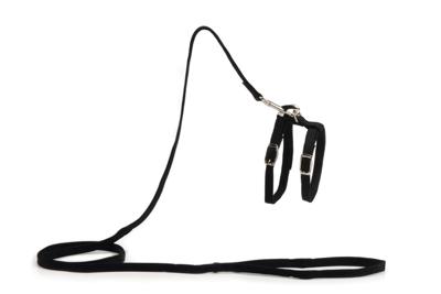 Beeztees - kattentuigje - nylon - zwart - 130 cm x 10 mm Beeztees - kattentuigje - nylon - zwart - 130 cm x 10 mm