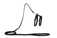 Beeztees - kattentuigje - nylon - zwart - 130 cm x 10 mm - thumbnail