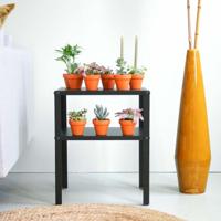 Groene Mini Plantenbox (10 stuks) - thumbnail