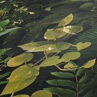 AS Creation PintWalls II - Groen - 396981 - thumbnail