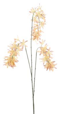 Nova Nature Eremurus spray Vidar old pink 103cm