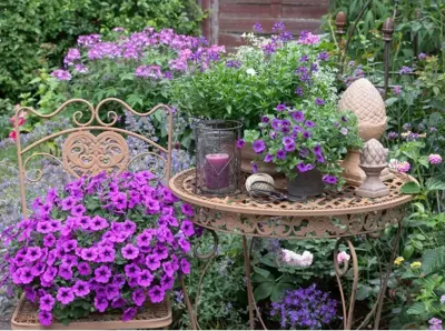 Tuinschilderij Paarse Bloemen 58x78cm