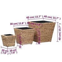 Plantenbakken verhoogd 3 st waterhyacint - thumbnail