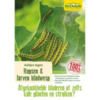 Ecostyle Aaltjes tegen larven bladwesp 60 m² - thumbnail