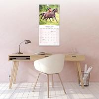 Paarden Kalender 2026 - thumbnail