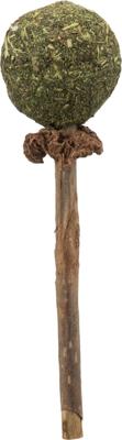 TRIXIE MATATABI LOLLY MET CATNIP 11 CM TRIXIE MATATABI LOLLY MET CATNIP 11 CM