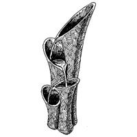 Ubbink AcquaArte - Montreux waterornament - thumbnail