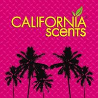 Auto luchtverfrisser California Scents 76109 - thumbnail
