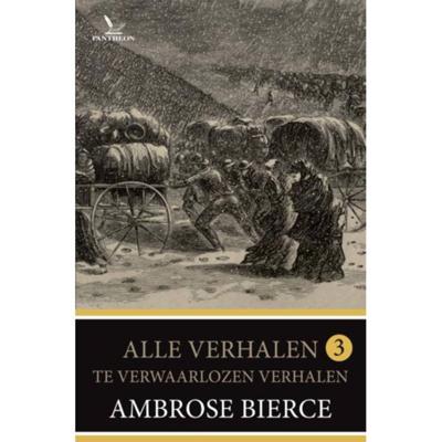 Te verwaarlozen verhalen (Paperback)