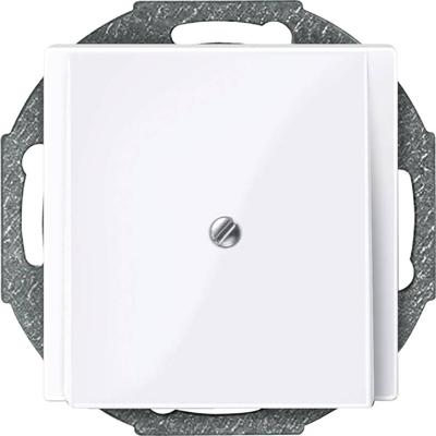 Merten 296325 Afdekking System M Wit 1 stuk(s)