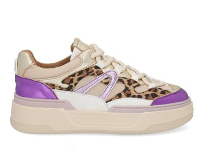 DWRS Walton Leopard B11387-01-8361 Paars-39 maat 39