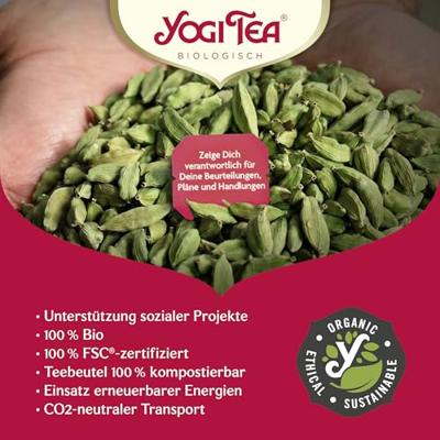 Yogi Tea Christmas Calendar 2024