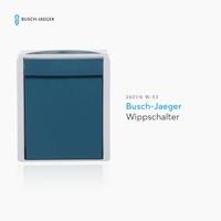 Busch-Jaeger 2601/6 W-53 Ocean (opbouw) Wisselschakelaar spatwaterdicht Blauw, Groen - thumbnail