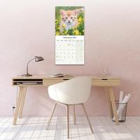 Kittens Kalender 2026 - thumbnail