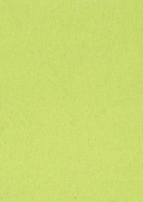 Gekleurd tekenpapier, 120 g, ft 21 x 29,7, A4, lichtgroen, pak van 500 vel