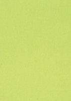 Gekleurd tekenpapier, 120 g, ft 21 x 29,7, A4, lichtgroen, pak van 500 vel - thumbnail
