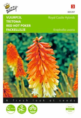 Zaden Kniphofia Vuurpijl Royal Castle Hybrids Buzzy - Buzzy