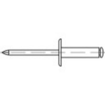 TOOLCRAFT 160092 Open popnagel (Ø x l) 5 mm x 25 mm Aluminium Staal 250 stuk(s)