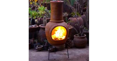 Mexicaanse Terrashaard Geel Sol-y-Yo - Hortus