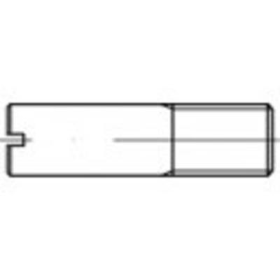 TOOLCRAFT TO-5394441 Bouten (l) 25 mm Staal Galvanisch verzinkt 100 stuk(s)