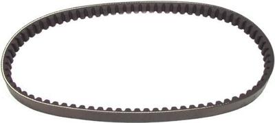 Polini v-snaar versterkt "verstärkt" v-belts verst. 18.5x802 mm