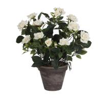 Decoratieve plant Mica Decorations Rosal Keramisch PVC - thumbnail