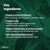 Isntree Mugwort Calming Clay Mask 100 ml Masker - thumbnail