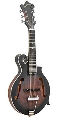 Gold Tone F-6 elektrische mando-guitar, met koffer Gold Tone F-6 elektrische mando-guitar, met koffer