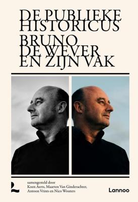 De publieke historicus - Koen Aerts, Maarten Van Ginderachter, Antoon Vrints, Nico Wouters - ebook