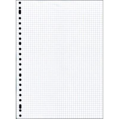 Interieurs 23-Rings 5mm 100 Vel