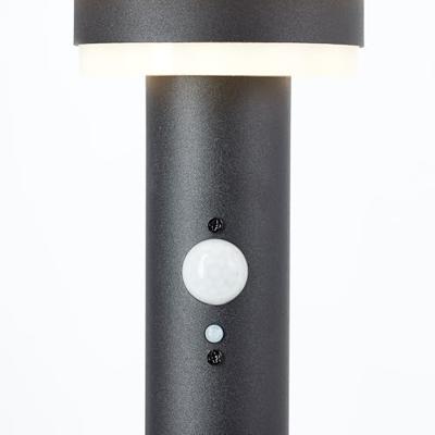 Brilliant G40406/06 Garvina Staande lamp op zonne-energie met bewegingsmelder LED-module LED vast ingebouwd 3 W Zwart