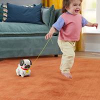 Interactieve Hond Fisher-Price - thumbnail