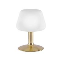 Paul Neuhaus TILL 4078-60 Bedlamp LED G9 3 W Warmwit Messing (mat) - thumbnail