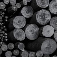 Houtskool Coates assorti doos à 30 stuks - thumbnail