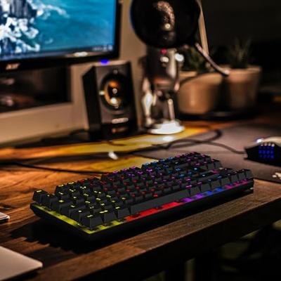 Gamingtoetsenbord - Mechanisch - Nova Gaming - Sculptor - TKL - RGB LED