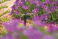 360 graden verstelbare minisproeier grondpen Hozelock - Hozelock - thumbnail