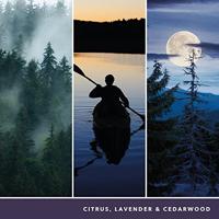 Yankee Candle midsummers night signature large jar - thumbnail